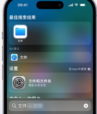 延安apple维修中心分享iPhone文件应用中存储和找到下载文件