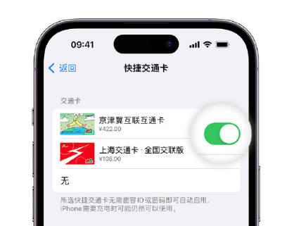 延安apple维修点分享iPhone上更换Apple Pay快捷交通卡手绘卡面 