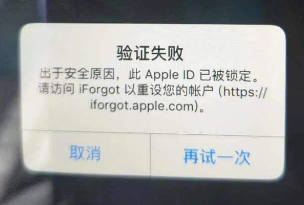 延安iPhone维修分享iPhone上正常登录或使用AppleID怎么办 