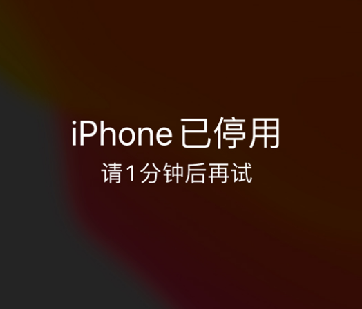 延安苹果手机维修分享:iPhone 显示“不可用”或“已停用”怎么办？还能保留数据吗？ 