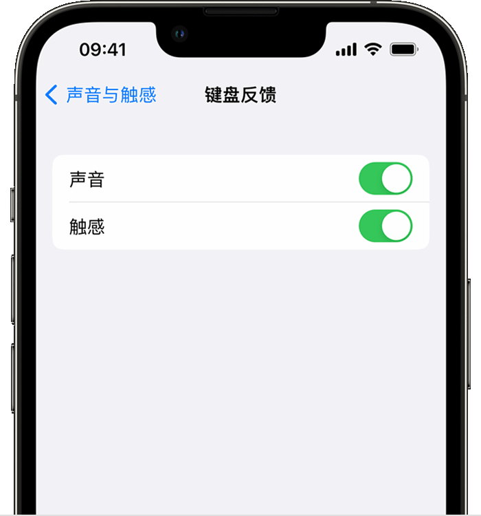 延安苹果14维修店分享如何在 iPhone 14 机型中使用触感键盘 