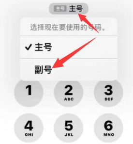 延安苹果14维修店分享iPhone 14 Pro Max使用副卡打电话的方法 