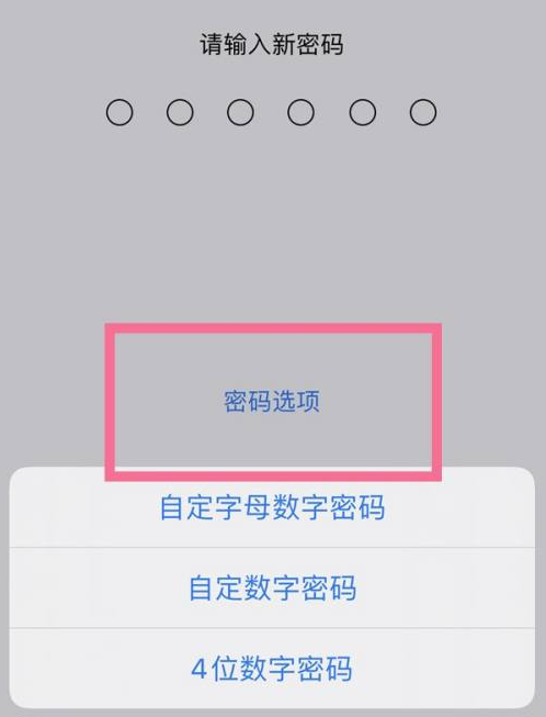 延安苹果14维修分享iPhone 14plus设置密码的方法 