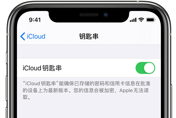 延安苹果手机维修分享在 iPhone 上开启 iCloud 钥匙串之后会储存哪些信息 