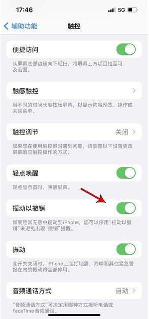 延安苹果手机维修分享iPhone手机如何设置摇一摇删除文字 