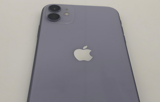 延安苹果11系统维修分享iPhone11手机系统崩溃无法开机如何解决 